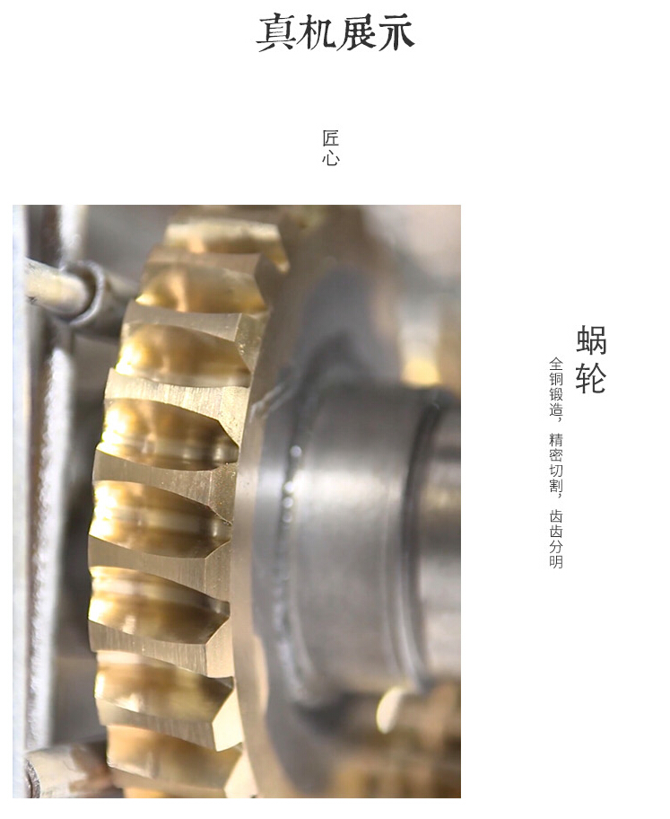 UDL無(wú)極變速機 UDL無(wú)極變速機